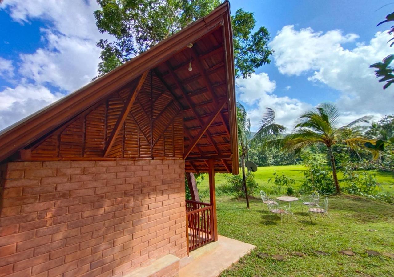 Cinnamon Village Sinharaja Deniyaya Exterior foto